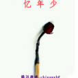 憶年少(月雪花風創作的網路小說) 憶年少(月雪花風創作的網路小說)