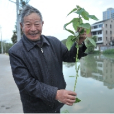 閻曰智 閻曰智
