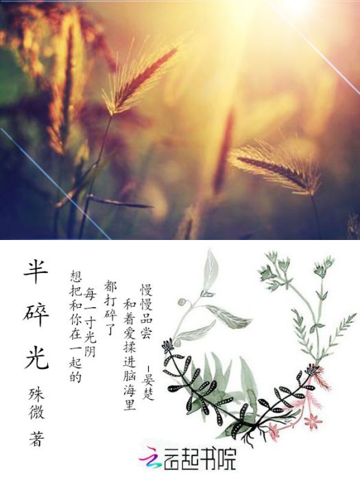 半碎光 半碎光