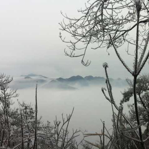 阮山村 阮山村