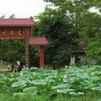 安懷鎮 安懷鎮