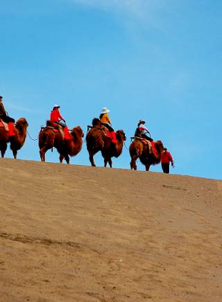 連奕名 連奕名