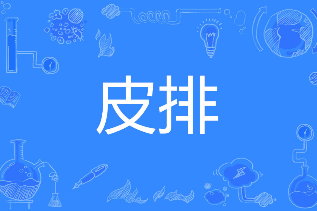 皮排 皮排