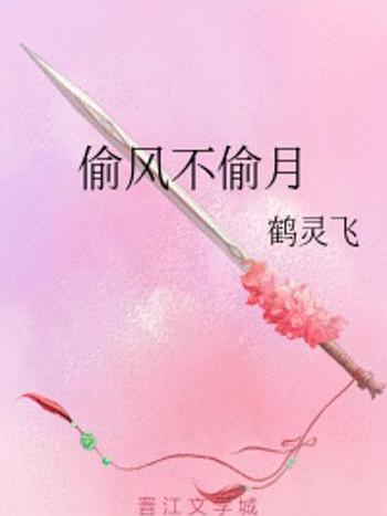 偷風不偷月