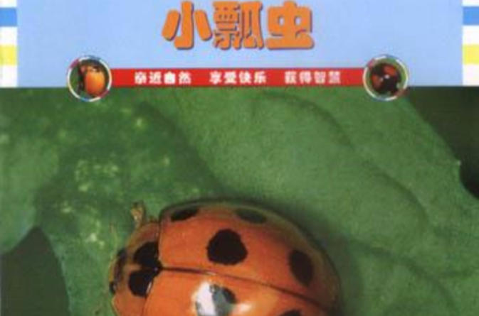 小瓢蟲(山東畫報出版社出版的圖書)