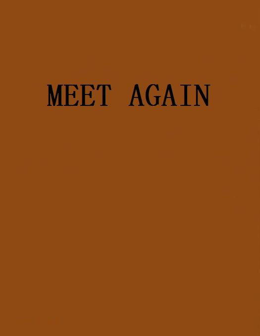 MEET AGAIN MEET AGAIN