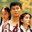 風車(2010年李晨、小宋佳主演電視劇)