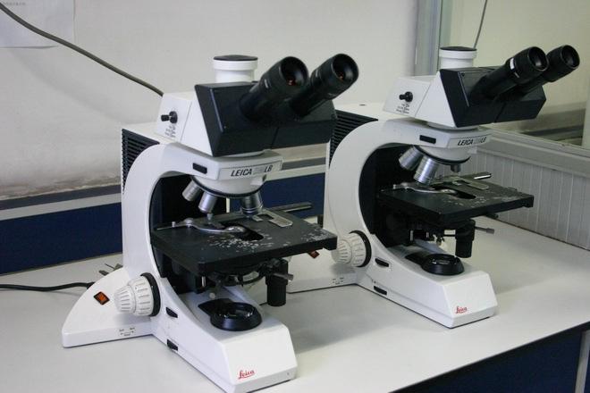 LEICADMLB生物顯微鏡