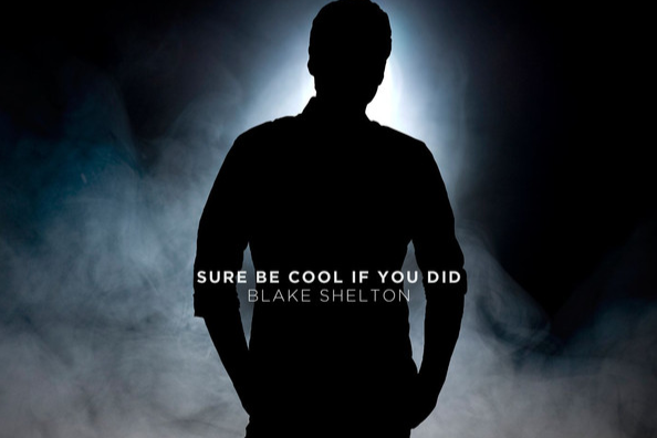 Sure Be Cool If You Did Sure Be Cool If You Did