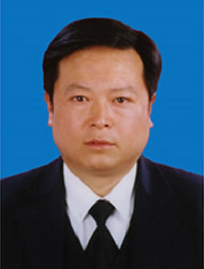 王林(西南能礦集團股份有限公司副總經理)