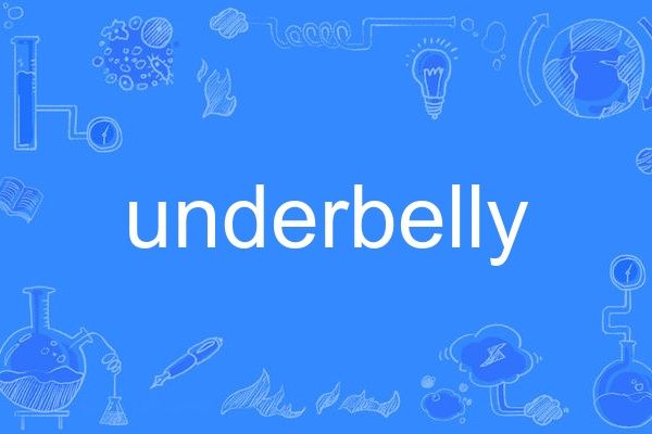 underbelly(英語單詞) underbelly(英語單詞)