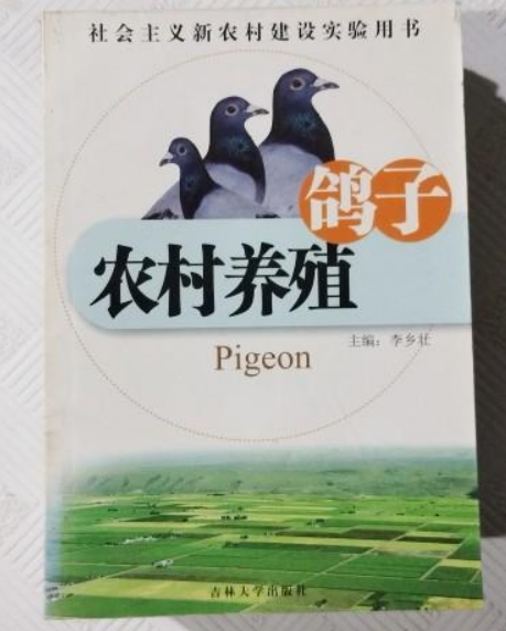 鴿子(2007年吉林大學出版社出版的圖書) 鴿子(2007年吉林大學出版社出版的圖書)