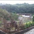 平坑村(浙江開化縣蘇莊鎮下轄村) 平坑村(浙江開化縣蘇莊鎮下轄村)
