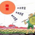 資本下鄉 資本下鄉