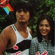 親情(1980年香港TVB電視劇)