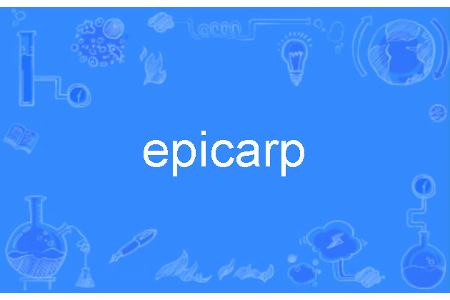 epicarp epicarp