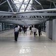 拉奧羅拉國際機場
