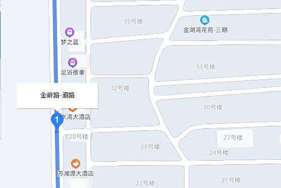 金嶺路(江蘇省泰州市金嶺路) 金嶺路(江蘇省泰州市金嶺路)