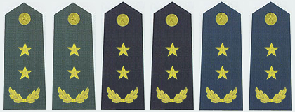 陸海空軍中將常服肩章(2007—)