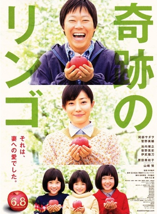 菅野美穗 菅野美穗