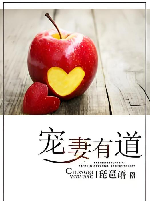 寵妻有道(琵琶語所著小說) 寵妻有道(琵琶語所著小說)