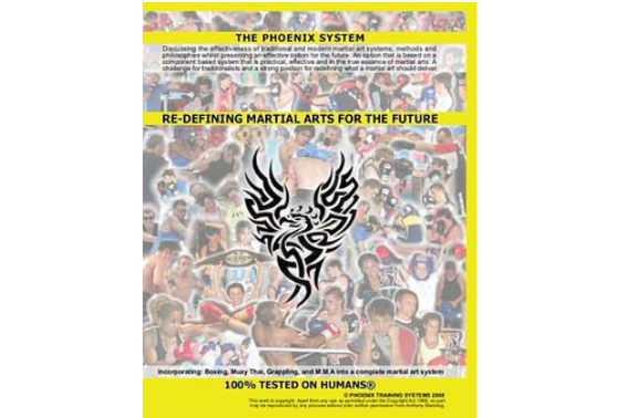 Re-Defining Martial Arts for the Future Re-Defining Martial Arts for the Future