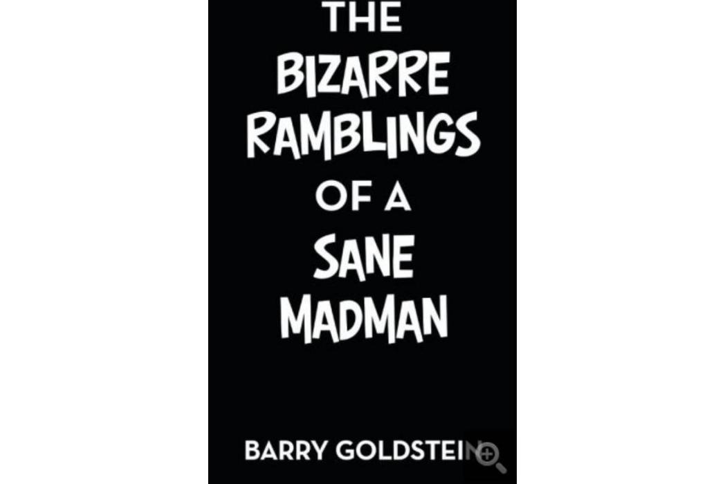 The Bizarre Ramblings of a Sane Madman The Bizarre Ramblings of a Sane Madman