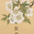 狐君(17k小說網) 狐君(17k小說網)