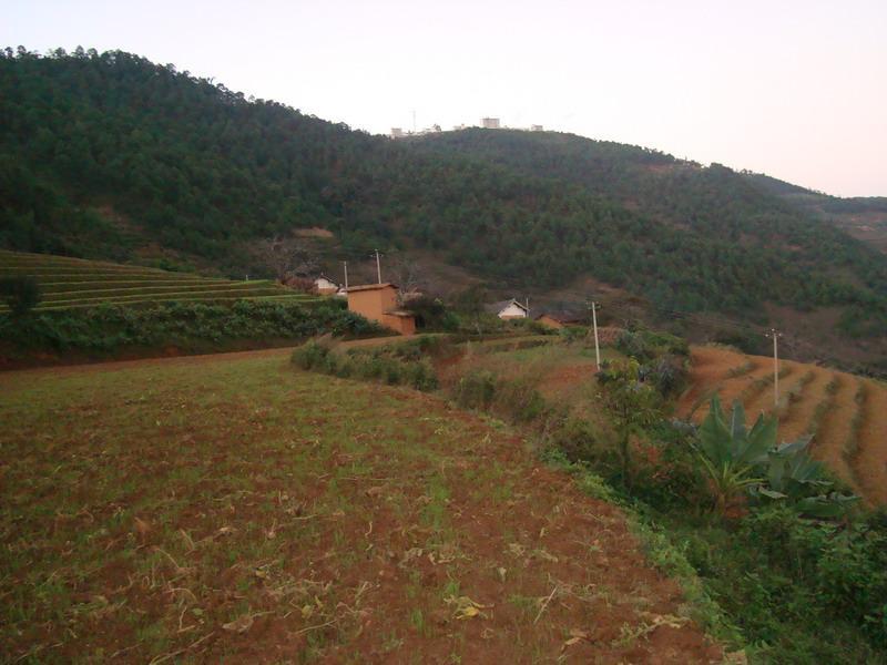 陰東山村(雲南省楚雄市八角鎮灑洲村委會陰東山村) 陰東山村(雲南省楚雄市八角鎮灑洲村委會陰東山村)