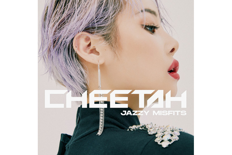lady(Cheetah演唱歌曲) lady(Cheetah演唱歌曲)