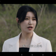 劉美琪(鄉村輕喜劇《鄉村愛情17》中的女配角)