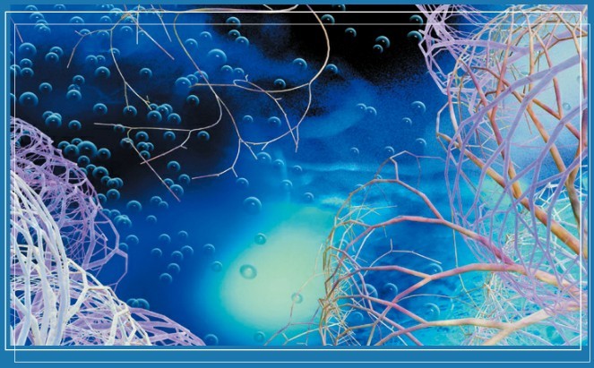 海洋單細胞海藻