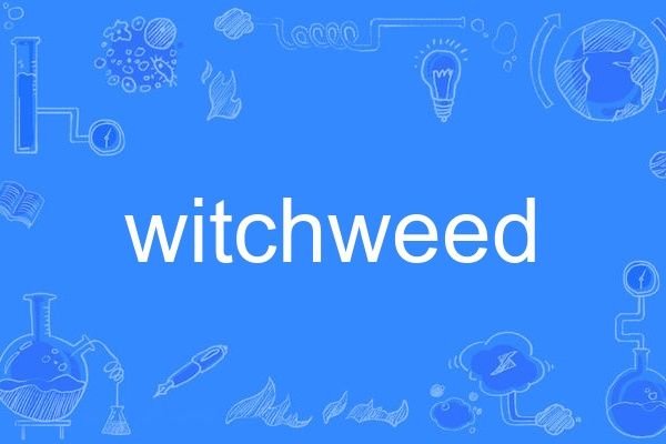 witchweed witchweed
