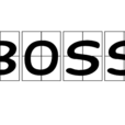 BOSS(美國BOSS手術器械) BOSS(美國BOSS手術器械)