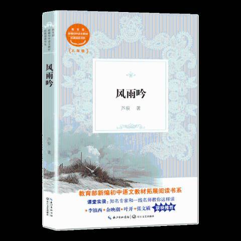 風雨吟(2019年長江文藝出版社出版的圖書) 風雨吟(2019年長江文藝出版社出版的圖書)