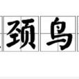 長頸鳥喙 長頸鳥喙