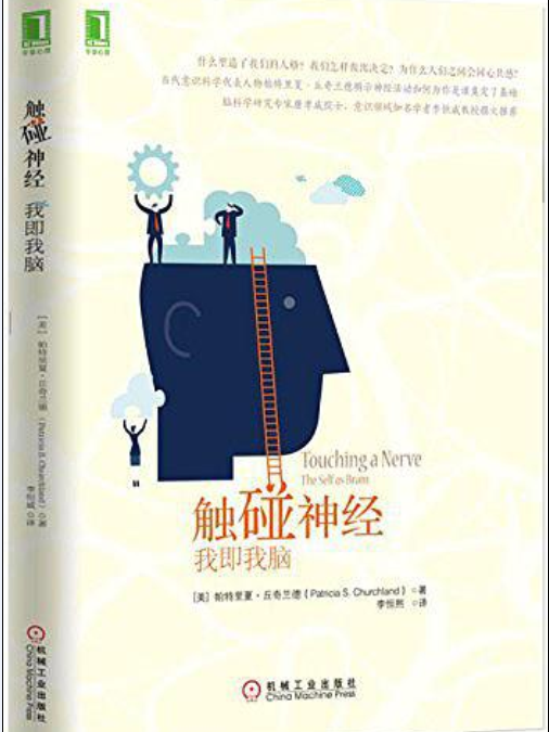 觸碰神經 觸碰神經