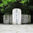 題李白墓 題李白墓