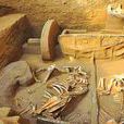 2002年十大考古發現