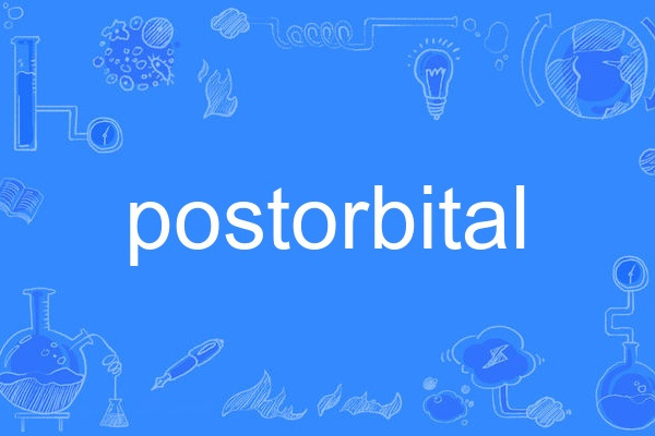 postorbital postorbital