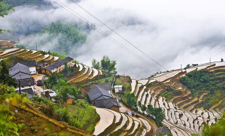 崇義縣上堡鄉拍攝的霧中梯田景觀