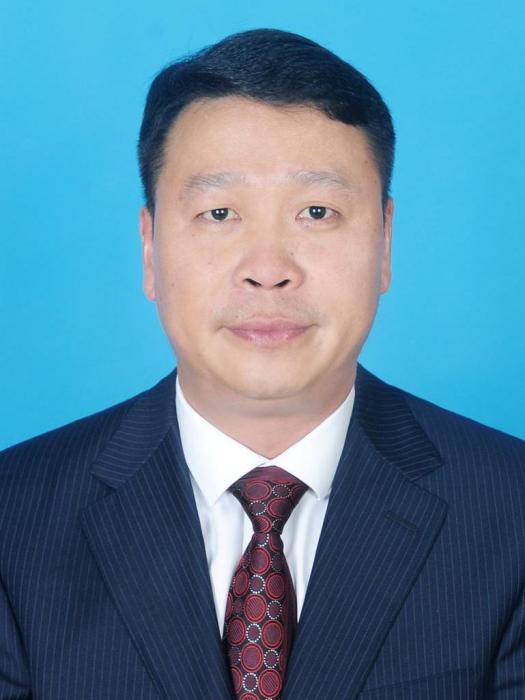 王守鋒(清鎮市巢鳳街道黨工委書記、武裝部政治教導員) 王守鋒(清鎮市巢鳳街道黨工委書記、武裝部政治教導員)