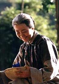 錢王(2002年于敏執導的電視劇)