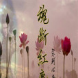 魂斷紅塵(kk珂心著網路小說) 魂斷紅塵(kk珂心著網路小說)