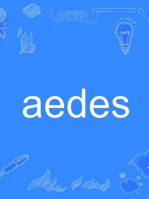 aedes aedes