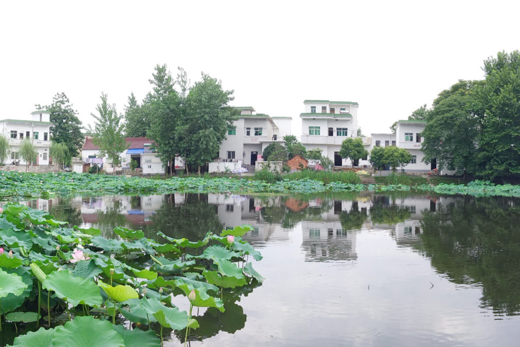 沙墩村(安徽省蕪湖市灣沚區陶辛鎮沙墩村) 沙墩村(安徽省蕪湖市灣沚區陶辛鎮沙墩村)