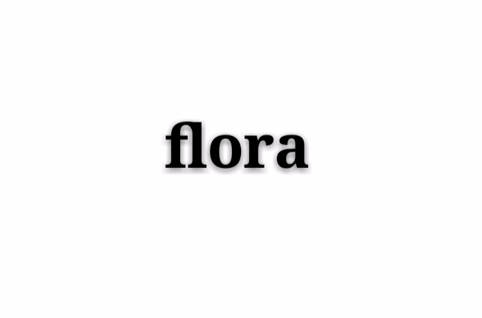 flora(人名，希神名，商標)