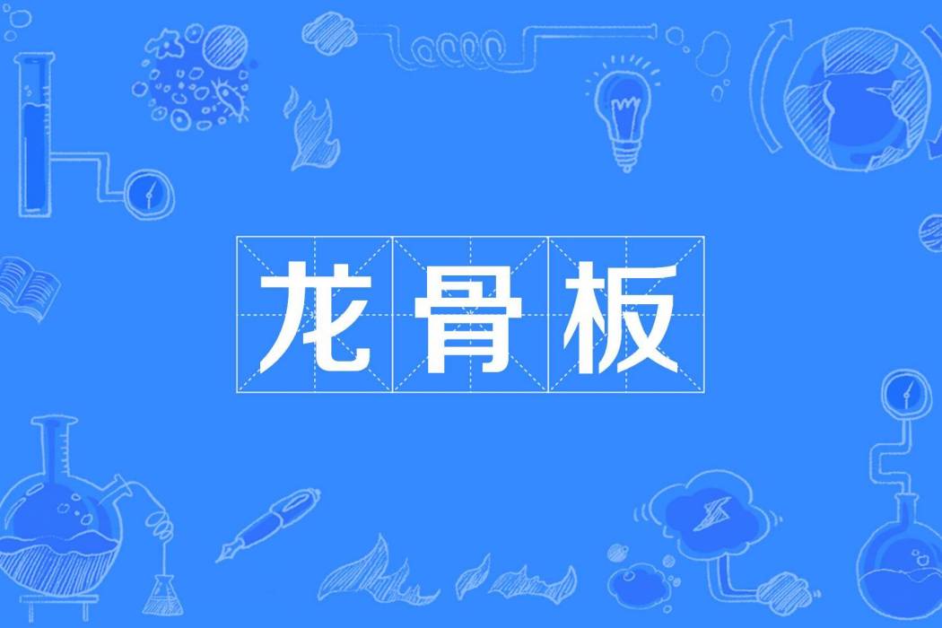 龍骨板 龍骨板