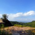 南充凌雲山(凌雲山（四川省南充市下轄山川）)