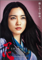 甲賀忍法帖(日本2005年下山天執導電影)